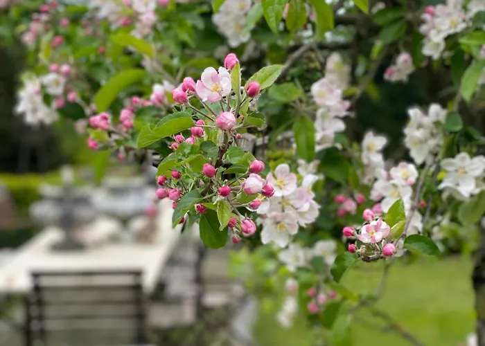 Bahnhof Vaale- Gleis 3 * Vaale